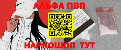 крисы Славгород