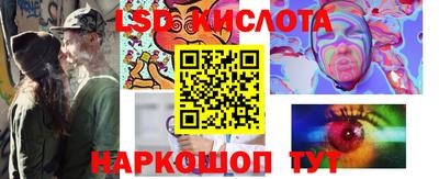 крисы Славгород