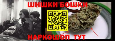 крисы Славгород