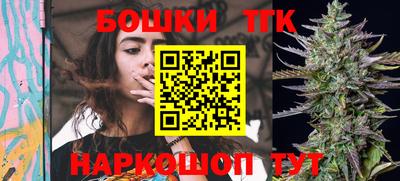 крисы Славгород