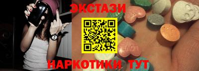 крисы Славгород