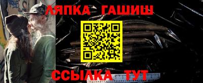 крисы Славгород