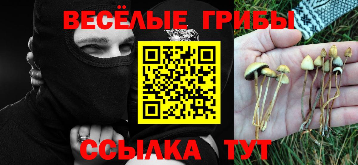 Галлюциногенные грибы мухоморы  Вход с VPN  Нижневартовск 